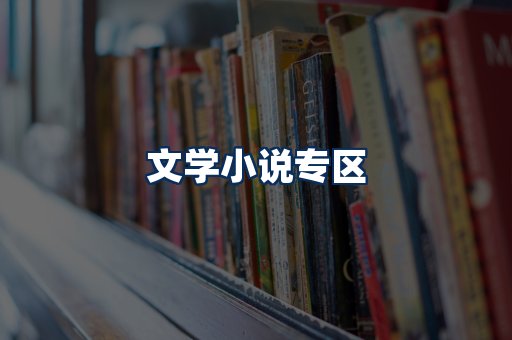 文学小说PDF展示